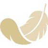 hand-heart-icon